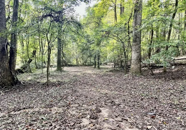 Photo 3 of Land for sale at 1 Mt Hebron Rd, Eclectic, AL 36024 | MLS# 590537 | Listing updated on 2026-09-17