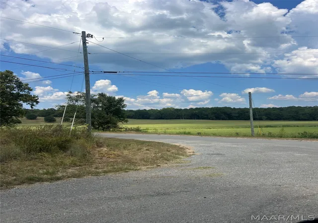 Land for sale at 0 County Rd 8, Clanton, AL 35046 | MLS# 590172