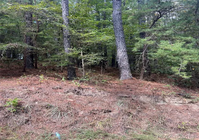 Photo 2 of Land for sale at 0 County Rd 8, Clanton, AL 35046 | MLS# 590172 | Listing updated on 2026-09-18