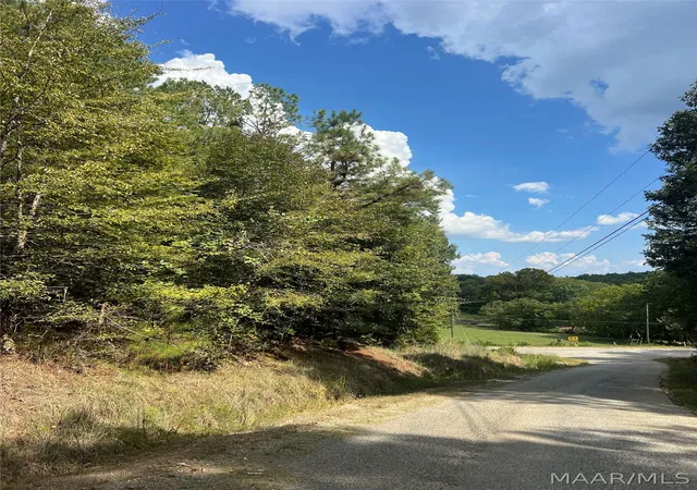Photo 3 of Land for sale at 0 County Rd 8, Clanton, AL 35046 | MLS# 590172 | Listing updated on 2026-09-18