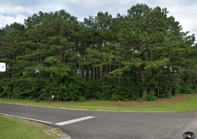 Photo 1 of Land for sale at 00 Valleydale Dr, Valley Grande, AL 36703 | MLS# 590620 | Listing updated on 2026-10-01