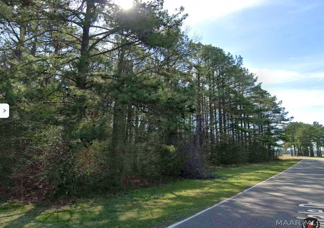 Photo 2 of Land for sale at 00 Valleydale Dr, Valley Grande, AL 36703 | MLS# 590620 | Listing updated on 2026-10-01