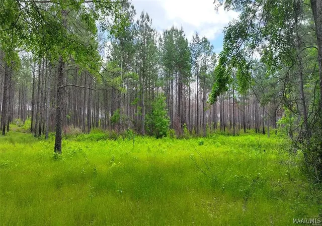 Photo 3 of Land for sale at 2238 Jug Factory Rd, Wetumpka, AL 36093 | MLS# 590660 | Listing updated on 2026-09-22