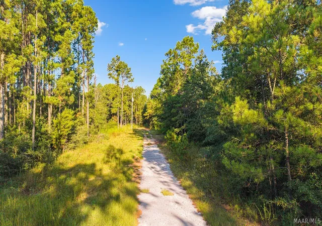Land for sale at 1515 County Rd 43, Prattville, AL 36067 | MLS# 590688