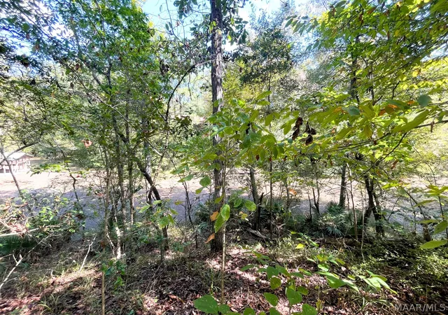 Photo 12 of Land for sale at 135 Arrowhead Point, Orrville, AL 36767 | MLS# 590726 | Listing updated on 2026-09-24