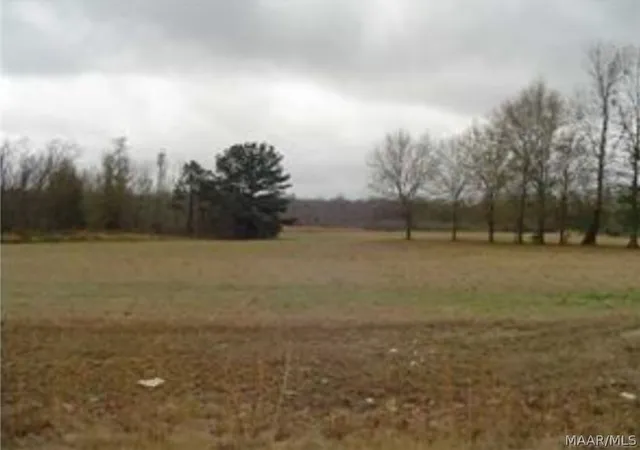 Photo 1 of Land for sale at 57 Chesson Hills #LOT 57, Fitzpatrick, AL 36029 | MLS# 590734 | Listing updated on 2026-09-29