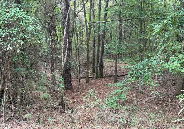 Photo 1 of Land for sale at 00 County Rd 44, Autaugaville, AL 36003 | MLS# 590681 | Listing updated on 2026-09-24