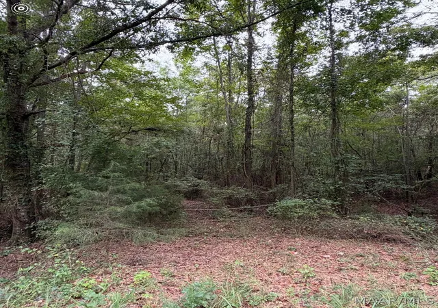 Photo 3 of Land for sale at 00 County Rd 44, Autaugaville, AL 36003 | MLS# 590681 | Listing updated on 2026-09-24