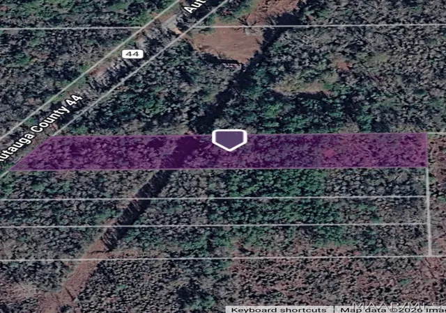 Photo 7 of Land for sale at 00 County Rd 44, Autaugaville, AL 36003 | MLS# 590681 | Listing updated on 2026-09-24