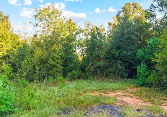 Photo 3 of Land for sale at 0 Coleman Way, Prattville, AL 36067 | MLS# 590781 | Listing updated on 2026-09-30