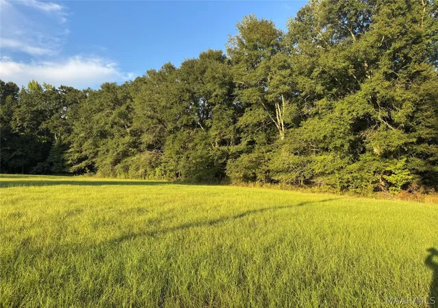 Land for sale at 359 Old Barnes Rd, Mathews, AL 36052 | MLS# 590780