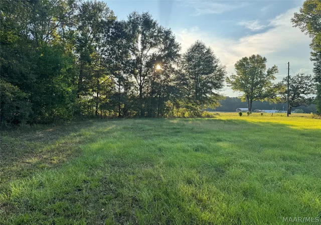 Land for sale at 331 Old Barnes Rd, Mathews, AL 36052 | MLS# 590747