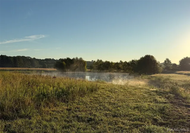 Photo 1 of Land for sale at 334 Dani Ln, Mathews, AL 36052 | MLS# 590918 | Listing updated on 2026-10-01