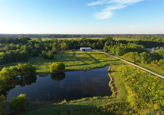 Photo 3 of Land for sale at 334 Dani Ln, Mathews, AL 36052 | MLS# 590918 | Listing updated on 2026-10-01