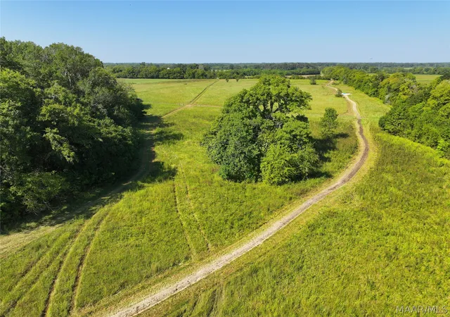 Land for sale at 0 Wallahatchie Rd, Pike Road, AL 36064 | MLS# 590922