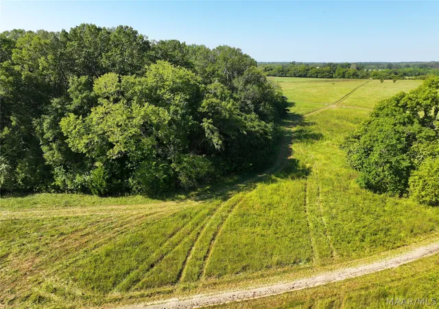 Photo 2 of Land for sale at 0 Wallahatchie Rd, Pike Road, AL 36064 | MLS# 590922 | Listing updated on 2026-10-01