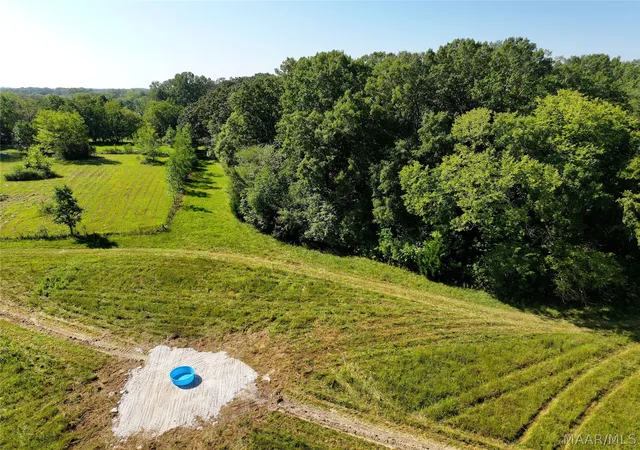 Photo 3 of Land for sale at 0 Wallahatchie Rd, Pike Road, AL 36064 | MLS# 590922 | Listing updated on 2026-10-01