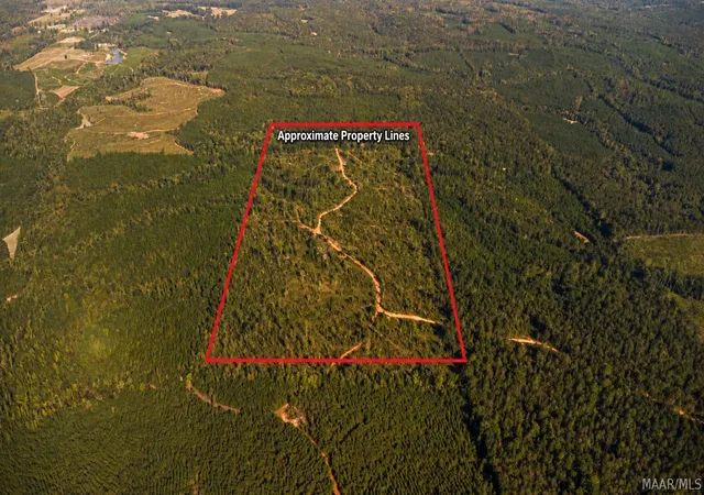 Photo 1 of Land for sale at 0 County Rd 14, Equality, AL 36026 | MLS# 590925 | Listing updated on 2026-10-02