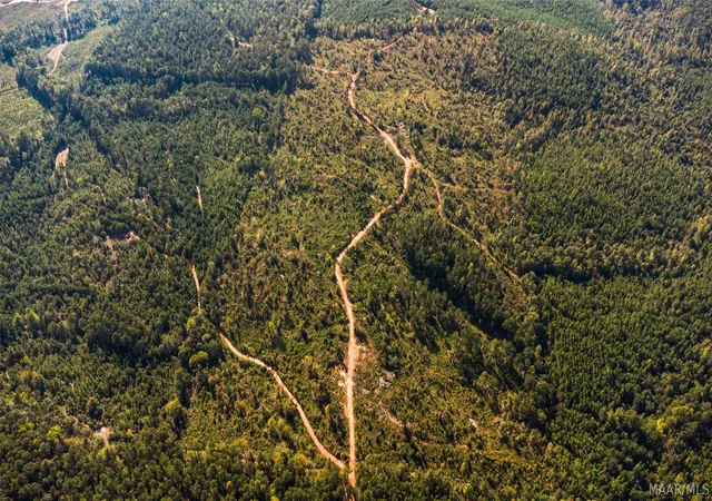 Photo 2 of Land for sale at 0 County Rd 14, Equality, AL 36026 | MLS# 590925 | Listing updated on 2026-10-02