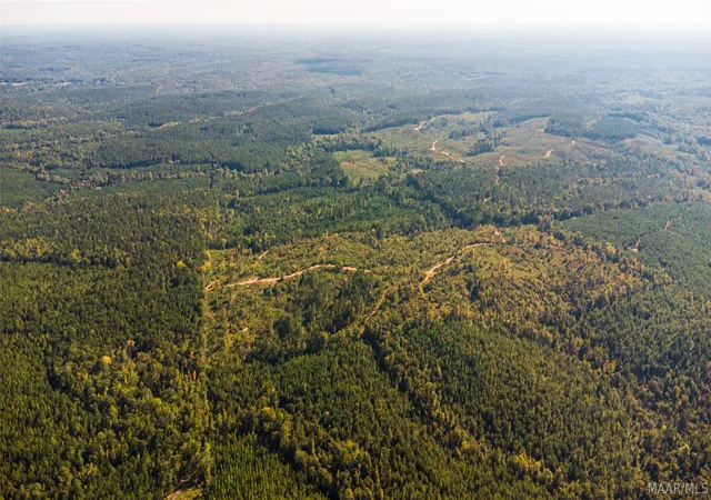 Photo 3 of Land for sale at 0 County Rd 14, Equality, AL 36026 | MLS# 590925 | Listing updated on 2026-10-02