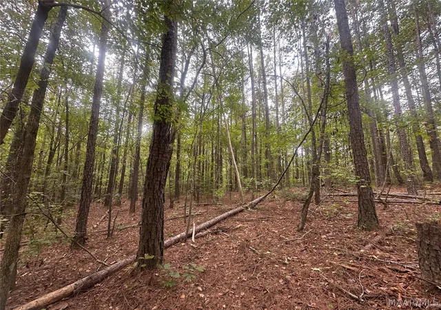 Photo 2 of Land for sale at 1620 Grass Farm Rd, Titus, AL 36080 | MLS# 590974 | Listing updated on 2026-10-04