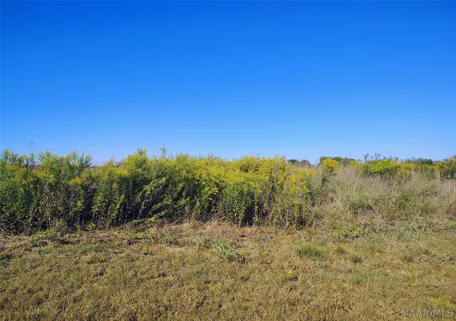 Photo 1 of Land for sale at 237 Greenleaf Rd, Lowndesboro, AL 36043 | MLS# 591055 | Listing updated on 2026-10-08