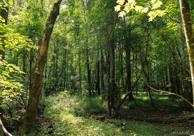 Land for sale at 0 Mt Hebron Rd, Eclectic, AL 36024 | MLS# 591058