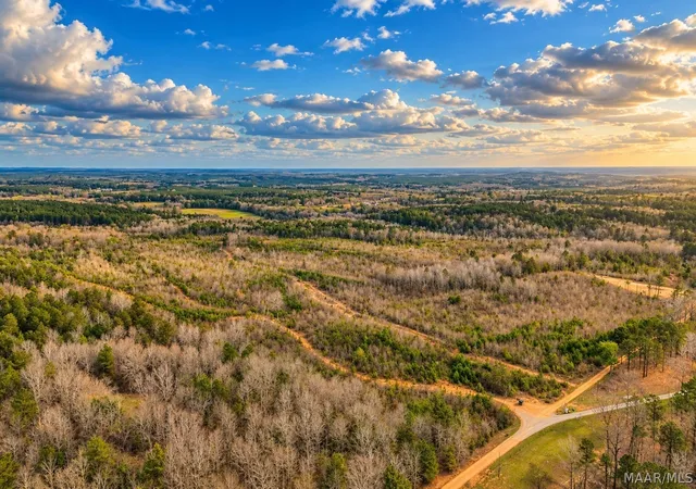 Photo 1 of Land for sale at 0 Brownin Rd, Ralph, AL 35480 | MLS# 591102 | Listing updated on 2026-10-07