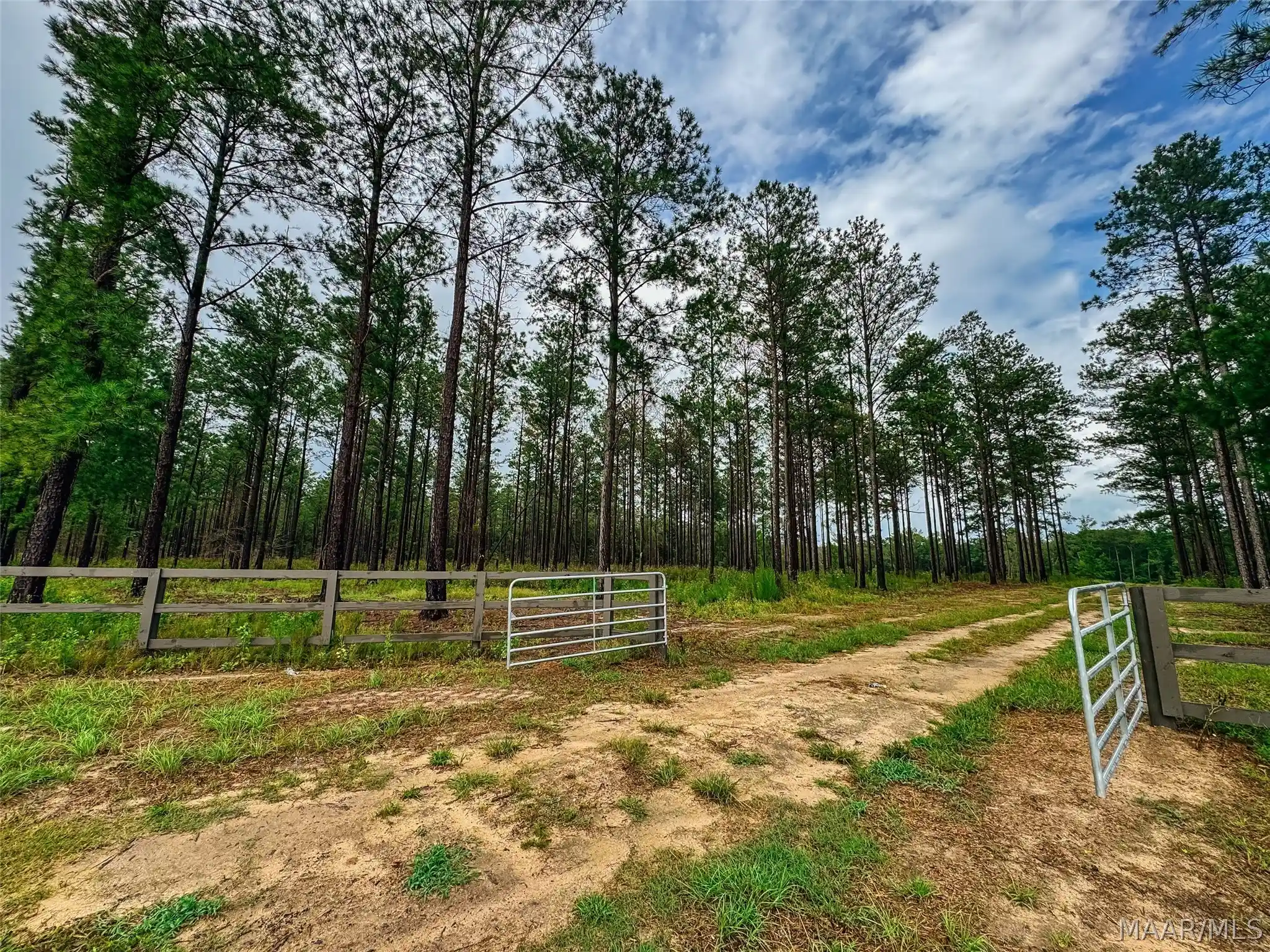 Land for sale at 12 County Rd 24, Auburn, AL 36830 | MLS# 591208