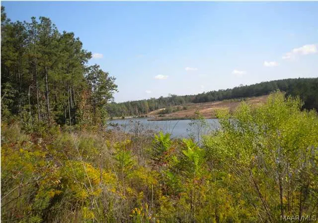 Homes for sale in Deatsville, AL | 2626 Hannah Dr, Deatsville, AL 36022 | MLS# 314049