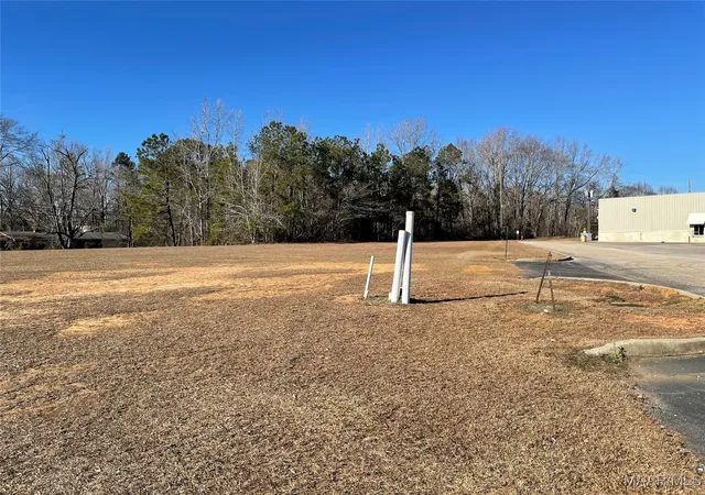 2nd image of 0 Hwy 5 N, Thomasville, AL 36784 | MLS# 488154