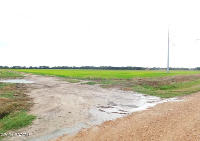 Homes for sale in Branch, LA | 000 Gumpoint Rd #Lot 4-A, Branch, LA 70516 | MLS# 2600002997