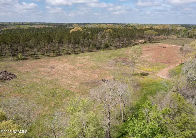 Photo 3 of Land for sale at Tbd La Hwy 103 Lot 2, Washington, LA 70589 | MLS# 2600007599 | Listing updated on 2026-08-17