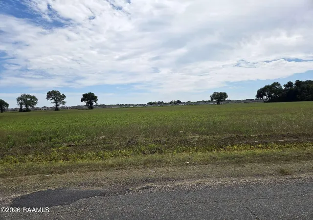 Homes for sale in Maurice, LA | L 1 Soop Road Road, Maurice, LA 70555 | MLS# 24003851