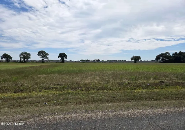 Homes for sale in Maurice, LA | L 1 Soop Road Road, Maurice, LA 70555 | MLS# 24003851