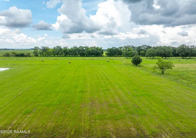 Homes for sale in St. Martinville, LA | Tbd Division Rd #C, St. Martinville, LA 70582 | MLS# 2600006280