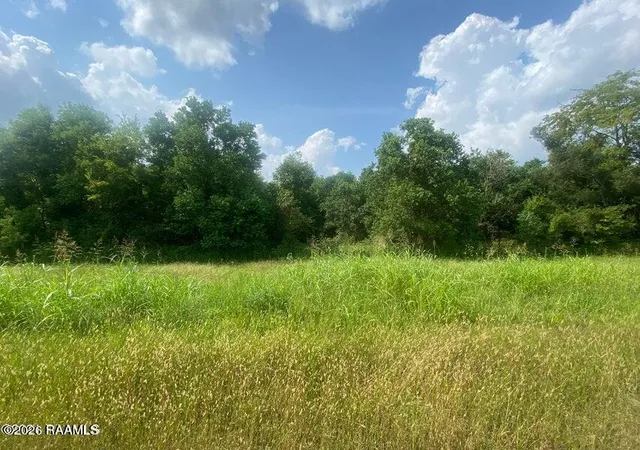 Photo 2 of Land for sale at Tbd Wrs Rd, Washington, LA 70589 | MLS# 2600008159 | Listing updated on 2026-08-31