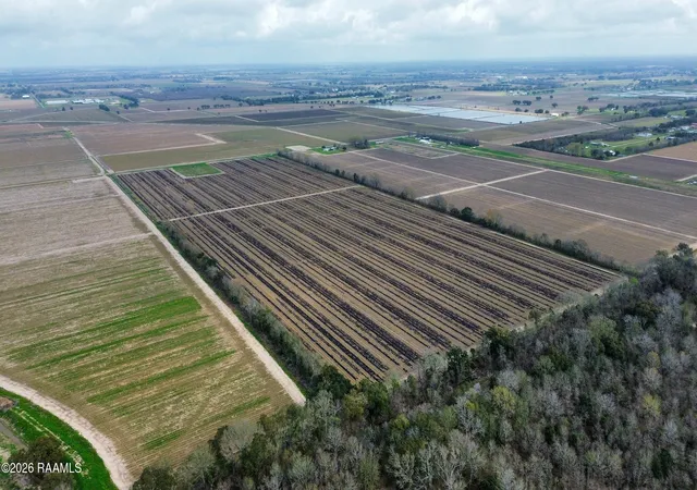 Photo 6 of Land for sale at 14001 W Etienne Rd, Maurice, LA 70555 | MLS# 2600001668 | Listing updated on 2026-08-29