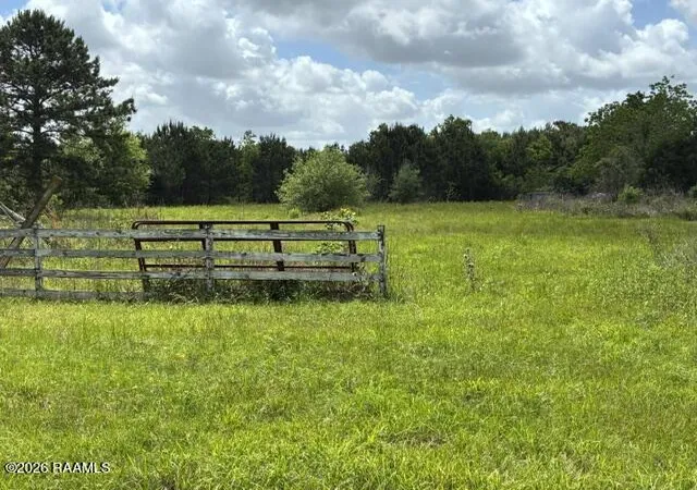 Homes for sale in Jennings, LA | 2062 Evangeline Hwy, Jennings, LA 70546 | MLS# 2600003159
