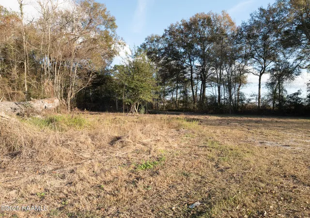 Homes for sale in Elton, LA | 1921 Hwy 190 Hwy, Elton, LA 70532 | MLS# 2500006214