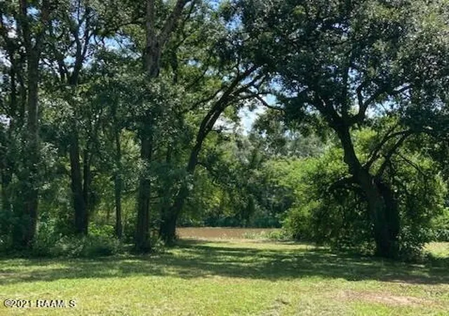 14th image of 000 Stephanie Dr, Saint Martinville, LA 70582 | MLS# 2500002635