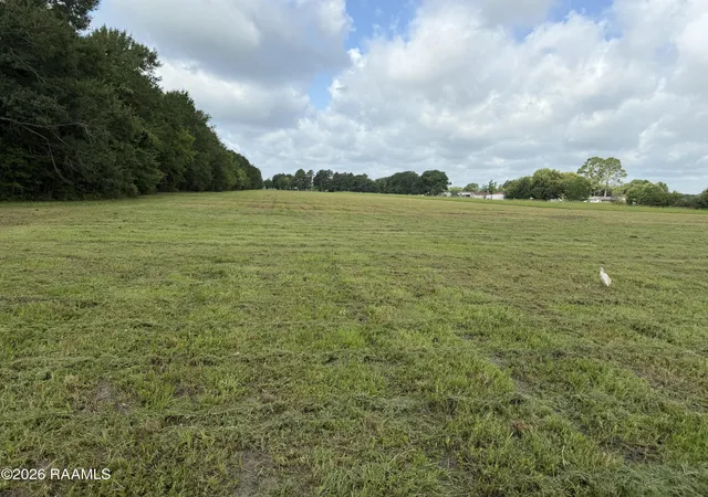 Photo 3 of Land for sale at Tbd Doyle Melancon Lot 1b Rd, Breaux Bridge, LA 70517 | MLS# 24011499 | Listing updated on 2026-07-02