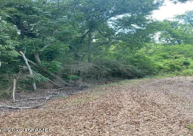 2nd image of 600 Blk Louis Arceneaux Rd, Lafayette, LA 70507 | MLS# 2600005617
