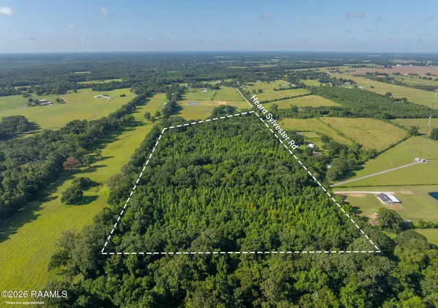 Photo 4 of Land for sale at 1 Heard Sylvester Rd, Washington, LA 70589 | MLS# 2020023917 | Listing updated on 2026-07-31