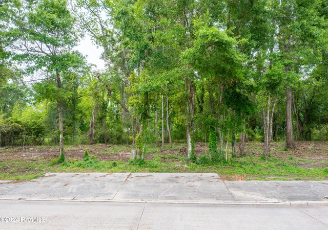 5th image of 2100 Blk E Pinhook Rd, Lafayette, LA 70501 | MLS# 24004510