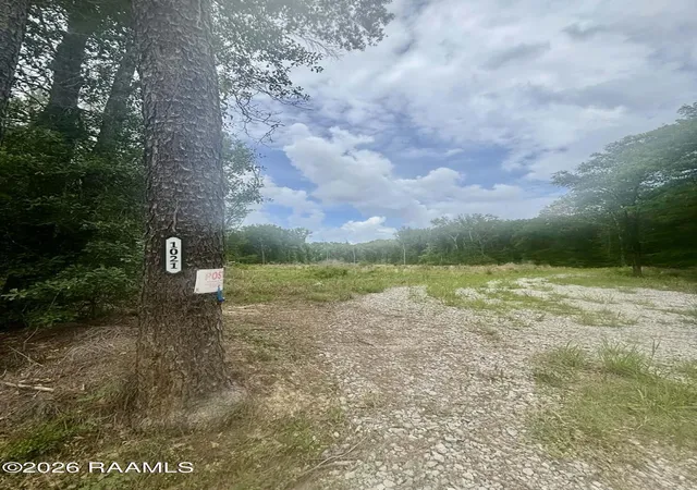 Homes for sale in Eunice, LA | 1021 Lanse De Deshotel Rd, Eunice, LA 70535 | MLS# 2600003076