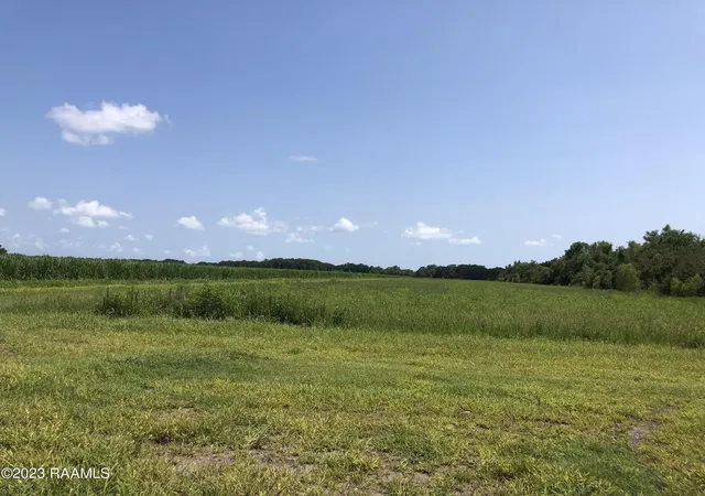23rd image of Tbd Trahan & Crochet Rd, New Iberia, LA 70563 | MLS# 2600000580