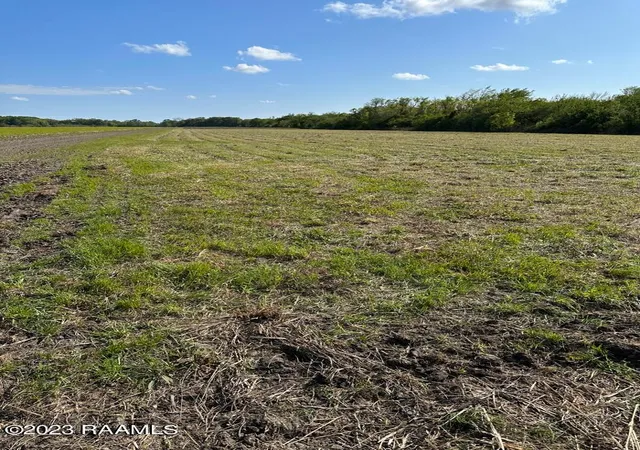 2nd image of Tbd Trahan & Crochet Rd, New Iberia, LA 70563 | MLS# 2600000580