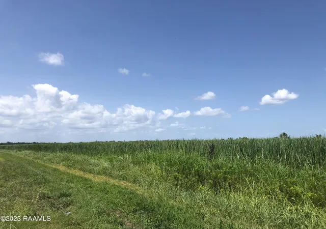 3rd image of Tbd Trahan & Crochet Rd, New Iberia, LA 70563 | MLS# 2600000580