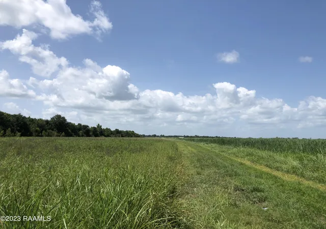 4th image of Tbd Trahan & Crochet Rd, New Iberia, LA 70563 | MLS# 2600000580